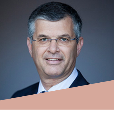 Peter van den Elzen
